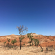 Illustration for article titled AWOL Around Australia... Part 36. The Pilbara. Part 3